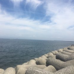 今期初LSJはバラしまくり