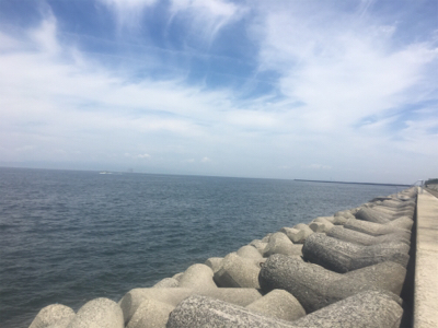 今期初LSJはバラしまくり