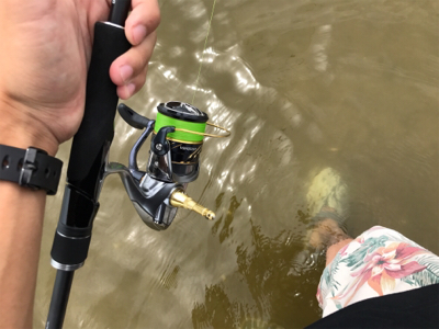 短時間シーバス釣行