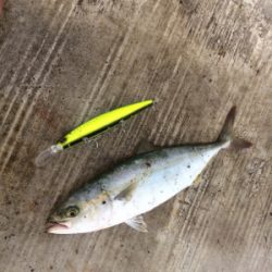 HEY!ツバスくん!