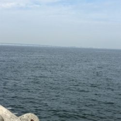 暑かった〜‼︎