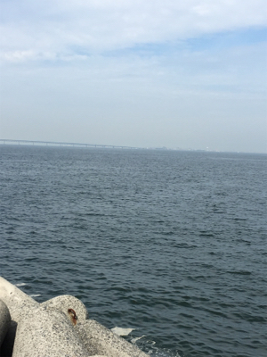 暑かった〜‼︎