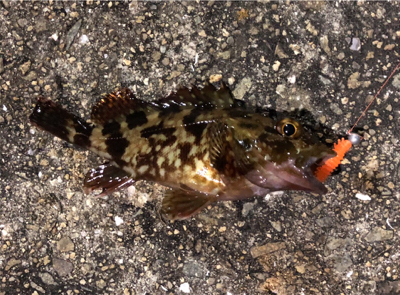 結局ガシリング