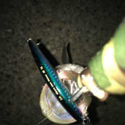 ルアーケースをひっくり返してもうた(･_･;