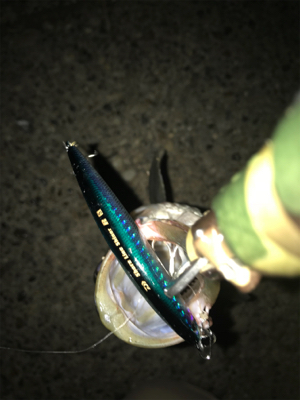 ルアーケースをひっくり返してもうた(･_･;