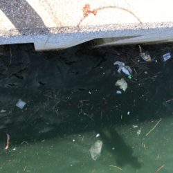 暑さに負けずに！