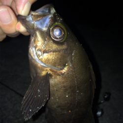 メバリングナイトゲーム☆GUNNING-STYLE