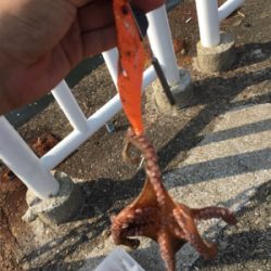 熱中症注意！！