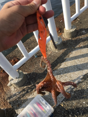 熱中症注意！！