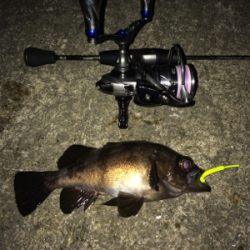 ナイトメバリング☆GUNNING-STYLE