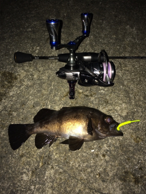 ナイトメバリング☆GUNNING-STYLE