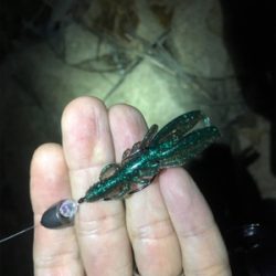 淀川ブリームゲーム 一転渋い