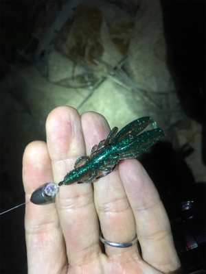 淀川ブリームゲーム 一転渋い