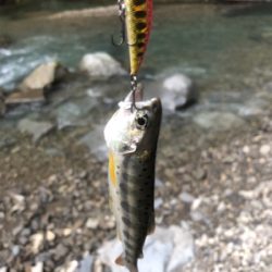 渓流釣り