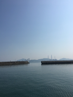 ジグでソウダガツオ！