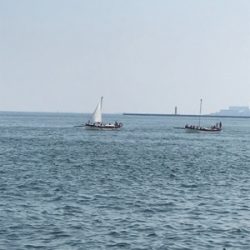 暑さに負けた！