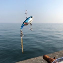 とりあえず青物釣れて良かった