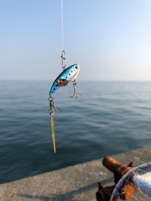 とりあえず青物釣れて良かった