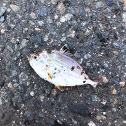 先日の大雨の影響がまだ…