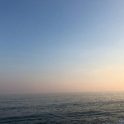 炎天下の下で鯛最高♪♪♪