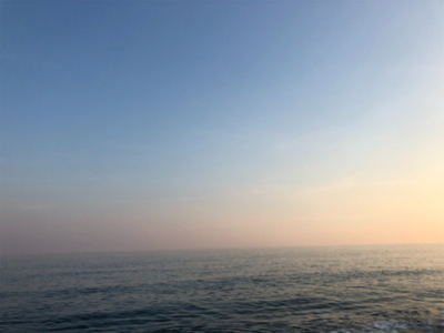 炎天下の下で鯛最高♪♪♪