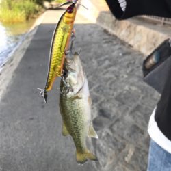 灼熱の耐久釣行