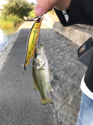 灼熱の耐久釣行