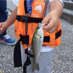 ちょいとちょい投げ☆