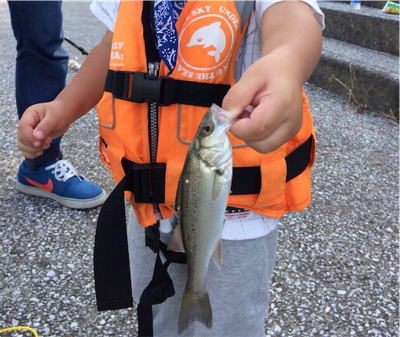 ちょいとちょい投げ☆