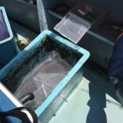 良いのは天気だけ