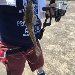 タコハンティング