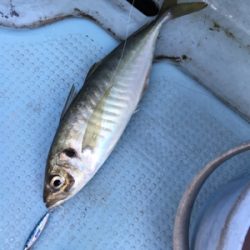 マイクロジギング