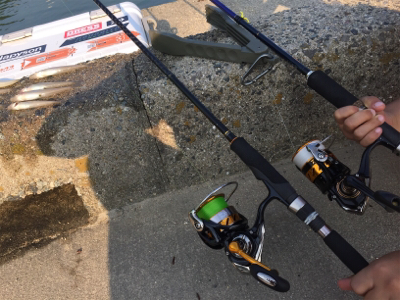 夏キス釣行