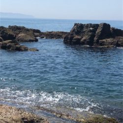 夏のドMエギング！スタート