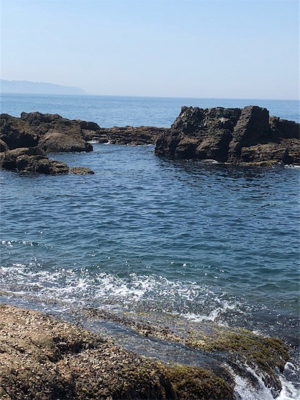 夏のドMエギング！スタート