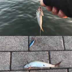 マルチゲーム（五目  笑）