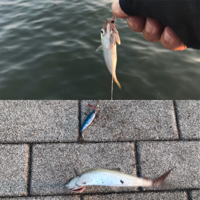 マルチゲーム（五目  笑）