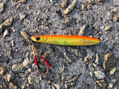 ツバス、惜しくも海へ帰る…