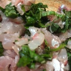 大きめアジ到来です。