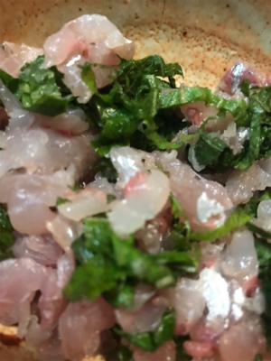 大きめアジ到来です。