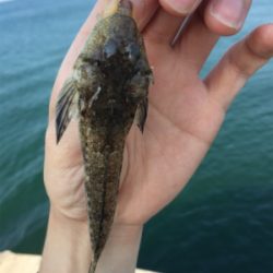 チョイ投げ8目!!!