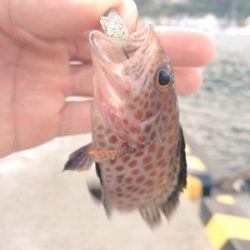 旅行の合間にパックロッドで