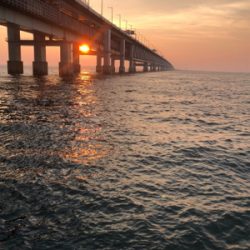 夕まずめ1時間勝負