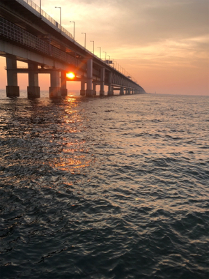 夕まずめ1時間勝負
