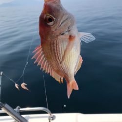 炎天下のマイボート 釣行
