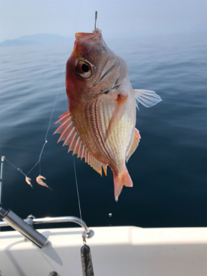 炎天下のマイボート 釣行