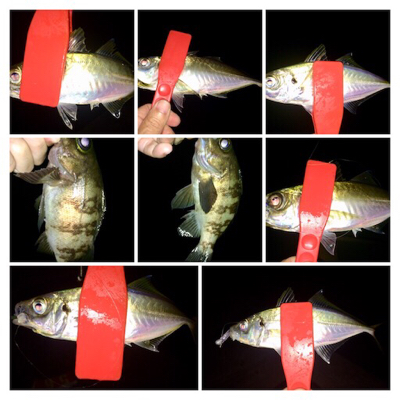 今晩は本気出す