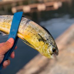 爆。トップゲーム