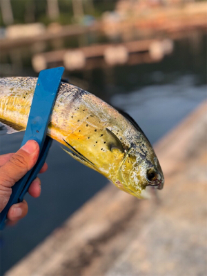 爆。トップゲーム