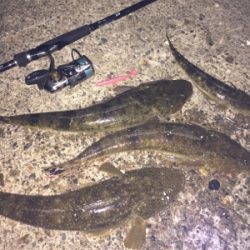 ナイトフラット